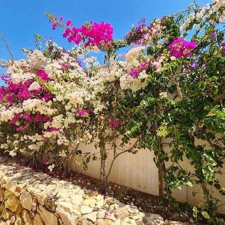 Atlantic Blue Luxury With Ocean Views