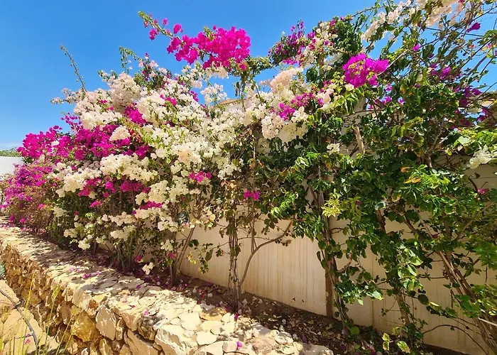 Atlantic Blue Luxury With Ocean Views